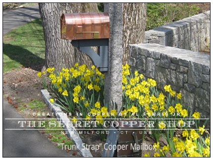 Custom Copper Trunk-Strap Mailbox