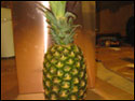 Original Concept Pineapple Mailbox