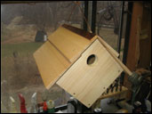 Birdhouse 3